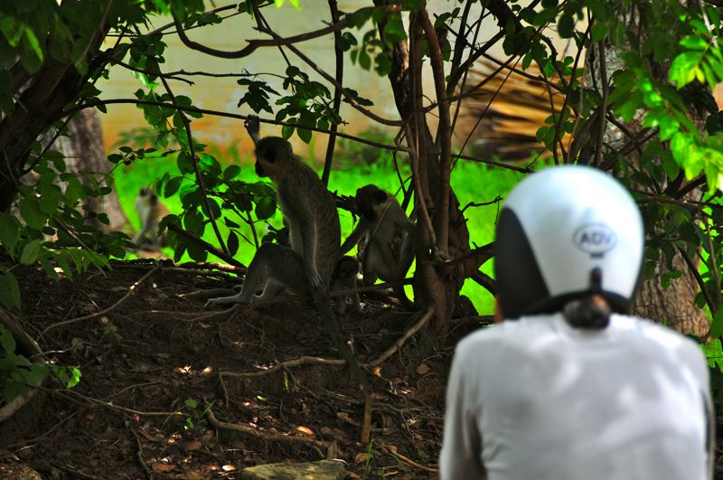 Senegal